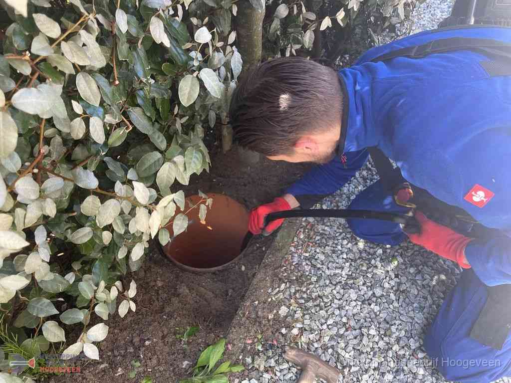Rioolvliegjes Hoogeveen